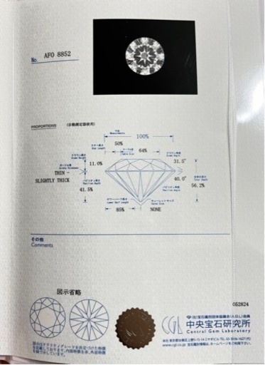 ガーネット内包 天然ダイヤモンド 0.26ct 宝石の内部世界