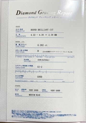 ガーネット内包 天然ダイヤモンド 0.26ct 宝石の内部世界