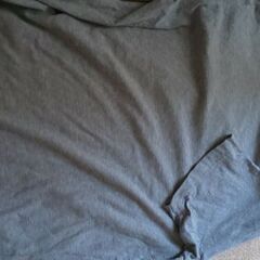 ブランドEddie Bauer エディーバウアー Tシャツ Mサイズ