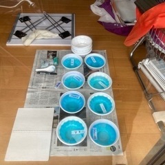 改良メダカ 卵 針子 数百匹の画像