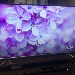 家電 テレビ 液晶テレビ