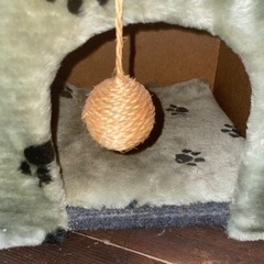 キャットハウスの画像