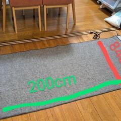 1畳用ホットカーペットの画像