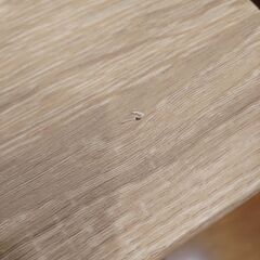 サカベ テーブル Lingieセンターテーブル ローテーブル 座卓 ちゃぶ台の画像