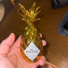 パイナップルの入れ物。置き物、インテリア。