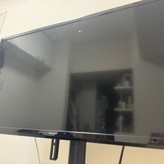 テレビ