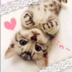 🐾全国雑談＆通話グルチャ🐾ワイワイしませんか(*^^)v - 大分市