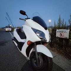 FORZA Z MF10白