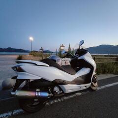 FORZA Z MF10白の画像