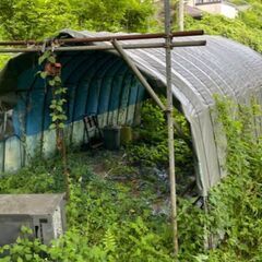 早い者勝ち!!　0円　無料で差し上げます。　ビニールハウスの骨組...
