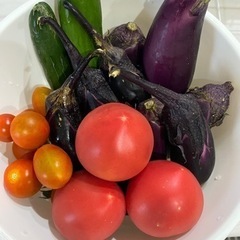 夏野菜