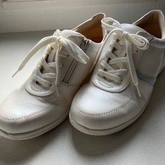 MOONSTAR 白　24cm