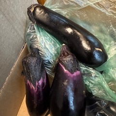 野菜　ナス　茄子　なす　　3本100円