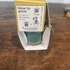 盆栽の画像