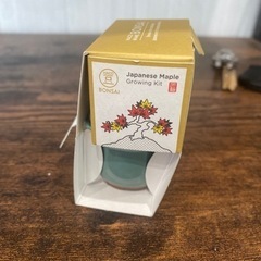 盆栽の画像