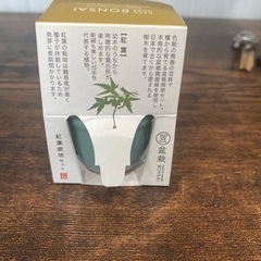 盆栽