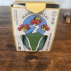 盆栽の画像