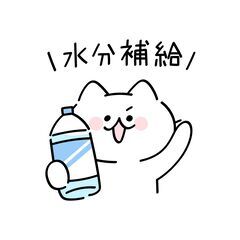 7/8　出勤情報🥰