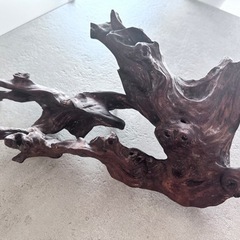 流木 オブジェの画像