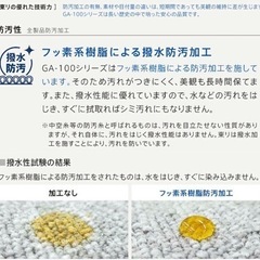 家具 カーペット/マット/ラグの画像