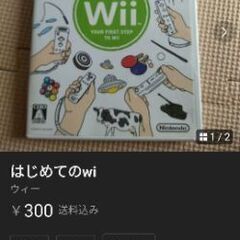はじめてのwii