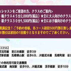 【★無料体験実施中★】月・金曜開校『お子様～大人・外国の方も受講OK』お琴教室の画像