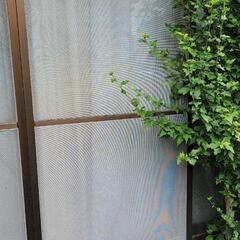 網戸売ります