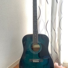 楽器 弦楽器、ギター
