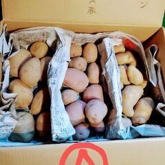 じゃがいも食べ比べセット⭐️２キロ 