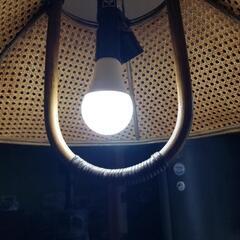 LED電球 E26 100W 相当 210度 虫対策 電球色 1520lm 昼光色 1520lm LDA13-C100II--4 ビームテックの画像