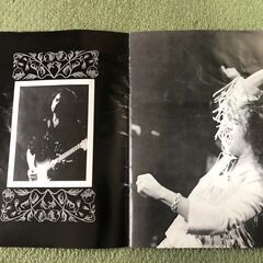 レインボー　1978 来日コンサートパンフレットの画像