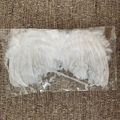 ベビー用品　ベビーフォト　天使の羽の画像