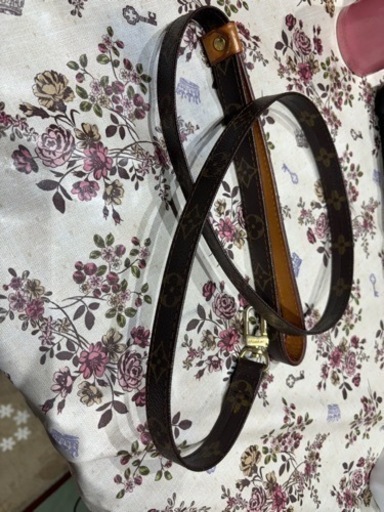 ルイヴィトン、散歩ヒモ❗️