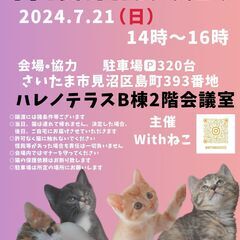 【さいたま市】子猫いっぱい7/21（日）ハレノテラス保護猫譲渡会