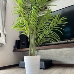 生活雑貨 家庭用品 ガーデニング
