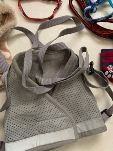子犬用抱っこ紐、ハーネス、術後服等