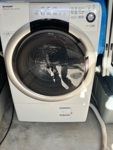 家電 生活家電 洗濯機