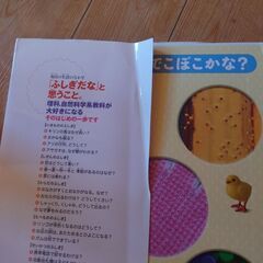 ふしぎの図鑑 : 楽しく遊ぶ学ぶの画像
