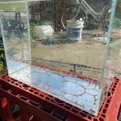 ADAの30cm水槽 (掃除中)