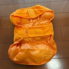 ハロウィン　ペット用衣装の画像