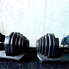 【取引先決定済み】可変式ダンベルペア(5〜40kg)の画像