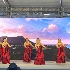 【HAWAIIのHULA】を楽しくレッスン🌺の画像