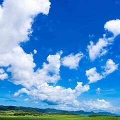 8月限定🎋【20分/500円】”才能”が開花する💎天職診断＆カウ...