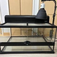 爬虫類ケージ グラステラリウム6030/コンパクトトップ60、ラ...
