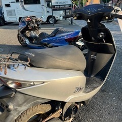 4stディオ AF62の画像