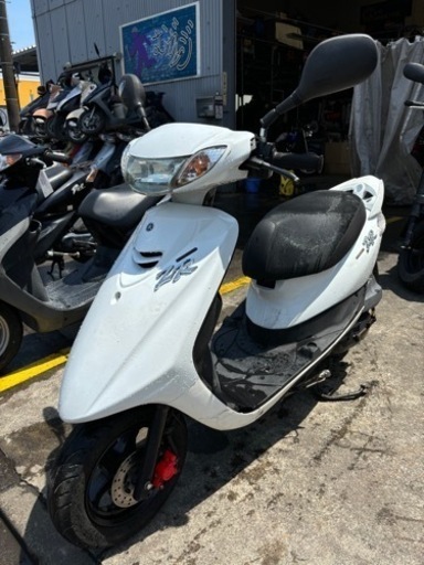 ZR‼️ 分割可能‼️