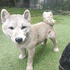 置物　陶器　犬の画像