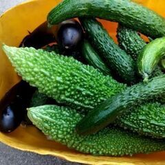 【無料】第52弾 新鮮野菜 新鮮野菜