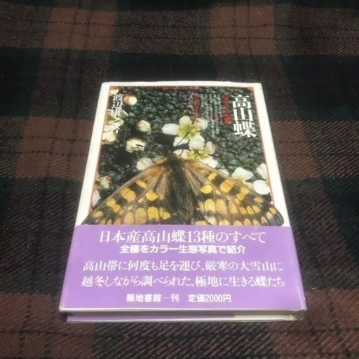 希少 高山蝶 山とチョウと私 築地書館　書籍