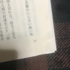 『一部補修アリ』イスラーム国の衝撃・金正日と金正恩の正体 新書2冊セットの画像